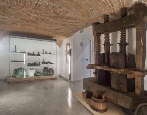 Vinogradniška zbirka, foto: Boris Krstinić